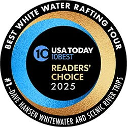 Best of USA Today