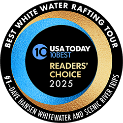 Best of USA Today