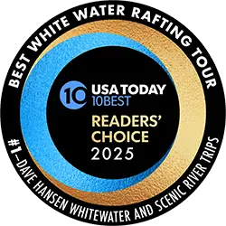 USA Today 10Best Logo
