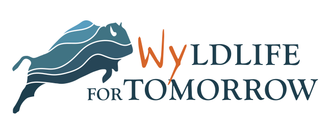 Wyldife for Tomorrow non profit