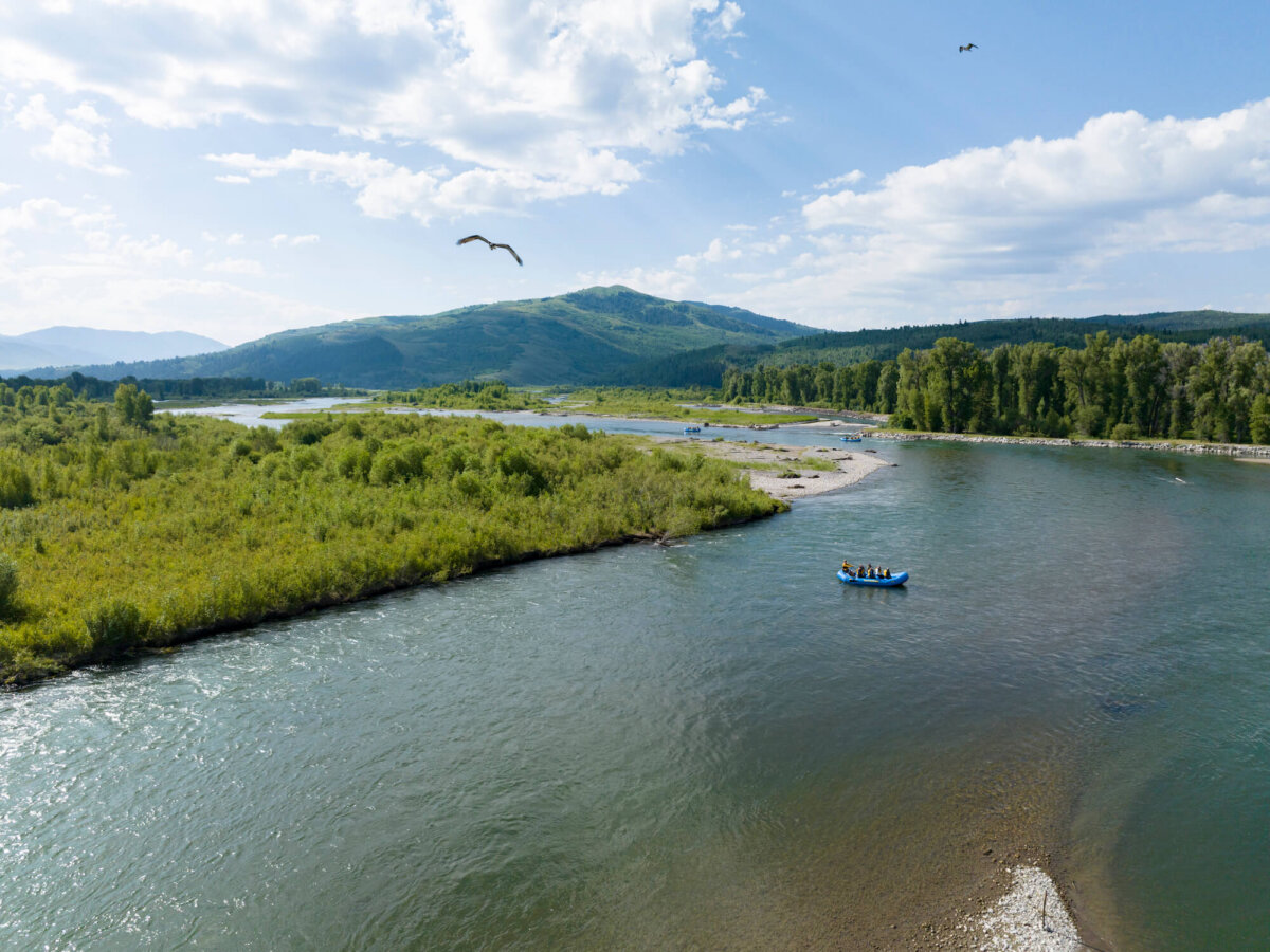 Wide aerial drone shot of a Dave Hansen raft on the Snake River with an osprey in flight above, surrounded by green riparian wetlands, sandy bars, and rolling forested mountains.