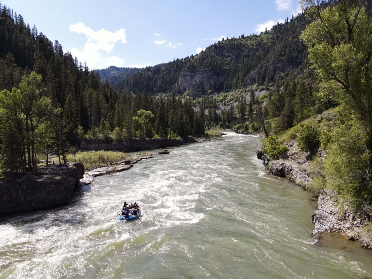 Aerial view of a single Dave Hansen raft floating through a wide bend of the Snake River, framed by green cottonwood trees, rocky banks, and forested hillsides on a sunny day.