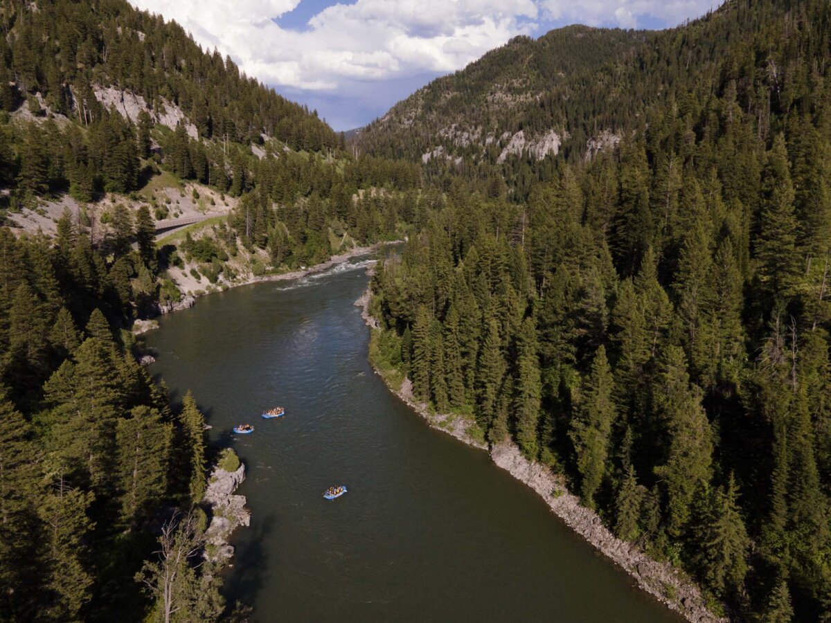 Aerial drone shot of three Dave Hansen rafts floating in formation down a wide, calm stretch of the Snake River, surrounded by dense pine forest and a mountain canyon.