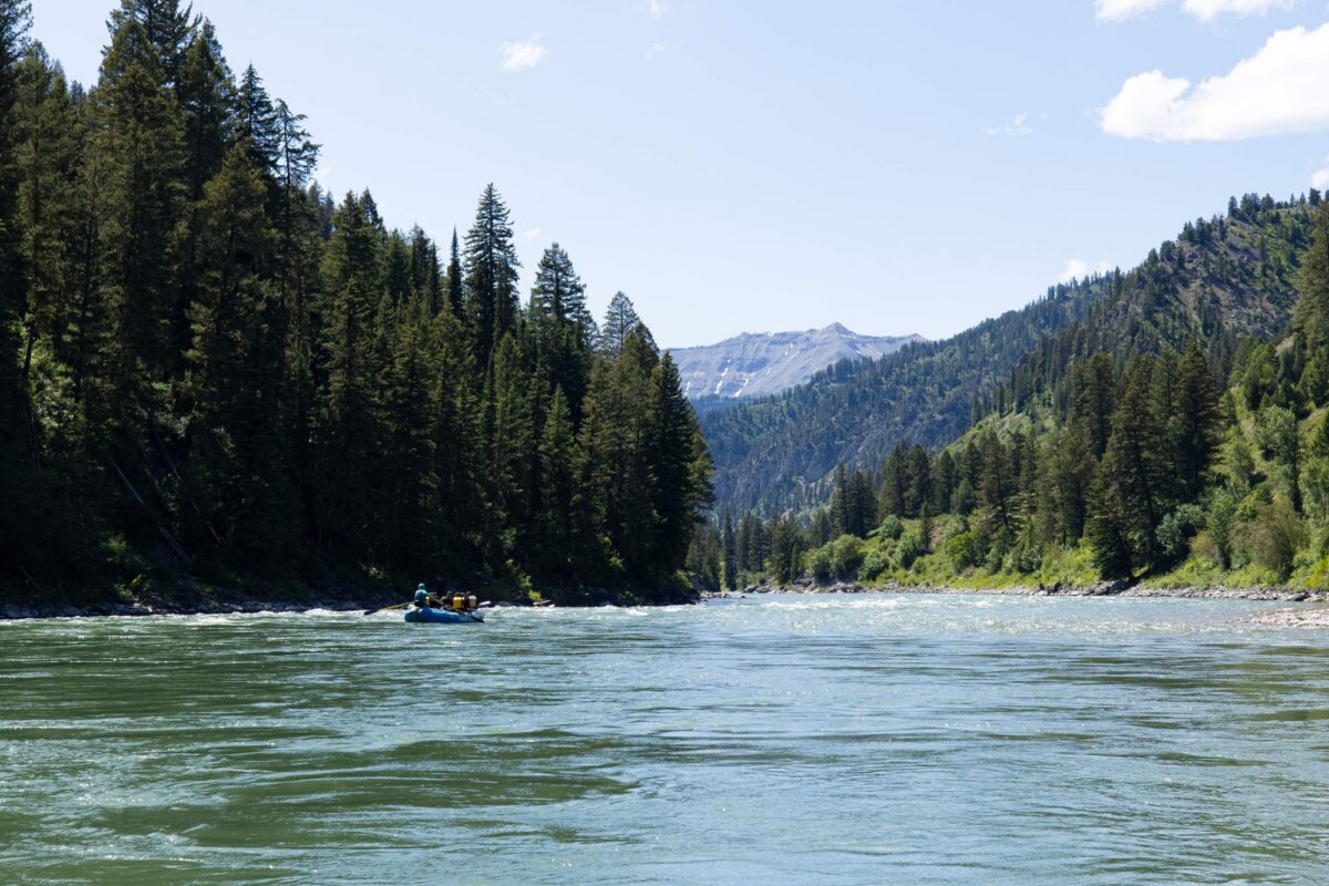 A Dave Hansen raft drifts through a wide, calm stretch of the Snake River framed by tall pine trees on both banks, with a snow-patched mountain peak visible through the canyon opening ahead.